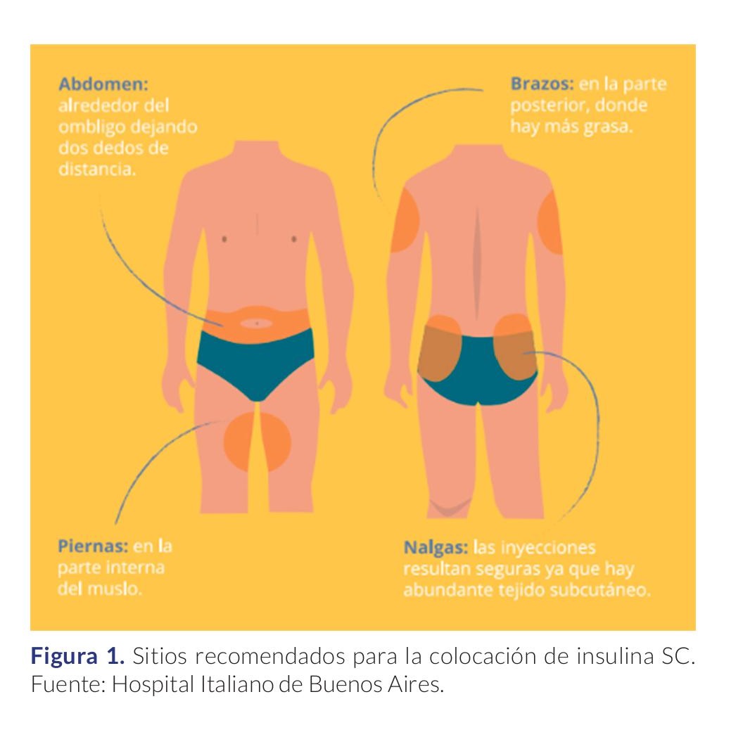 insulina
