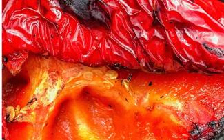 vegetalesbrasas