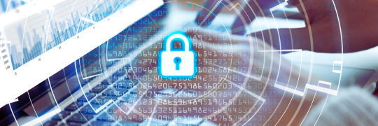 Ciberseguridad 