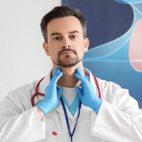 7400 x 3375 Endocrinología