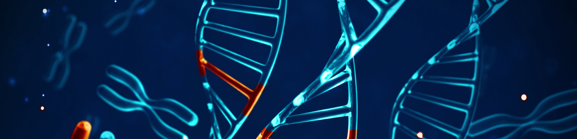Genómica en los sistemas de información en salud para identificar recomendaciones de riesgo genético